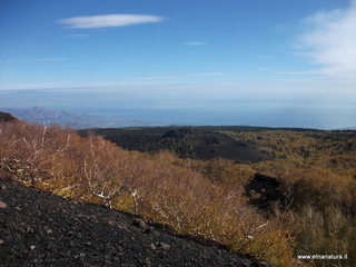 nte Zappinazzo-04-11-2012 10-57-06